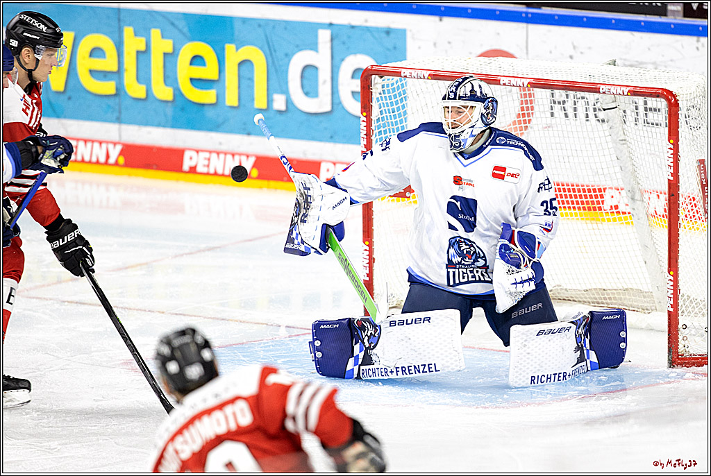 PENNY DEL;  Kölner Haie - Straubing Tigers; Köln, 09.10.2022